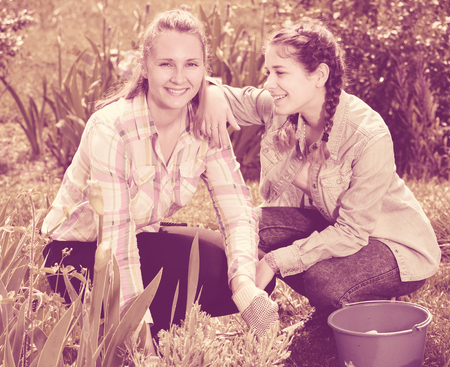 smiling two young american  females working in the outdoorの写真素材