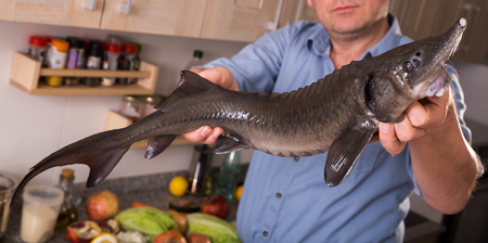 man holding raw sturgeon at  domestic kitchen の写真素材
