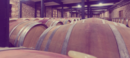 Many wooden barrels in wine cellar