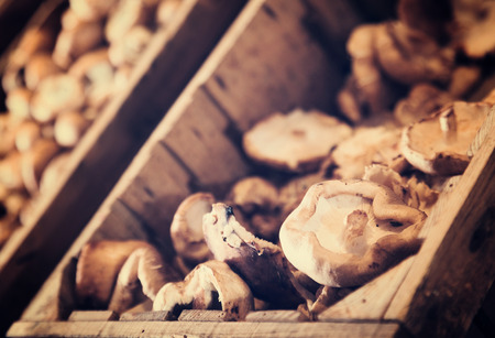 Closeup view on fresh shiitake mushrooms in container in food shopの写真素材