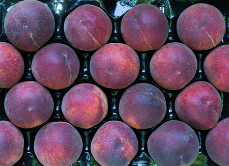 Assortment of ripe peaches in fruit box, top viewの写真素材