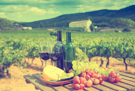 Red wine, cheese and grapes on wooden table on background with green vineyardの写真素材
