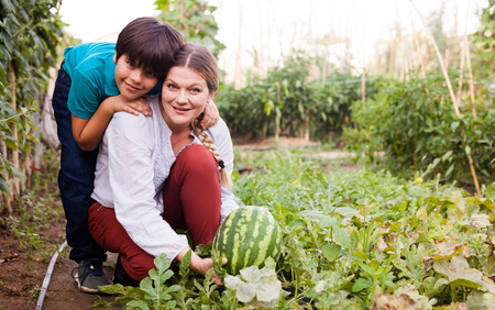 Positive woman  horticulturist  with boy picking  melon  together  in greenhouseの写真素材