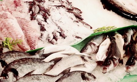 dorado on counter of fish market in spainの写真素材