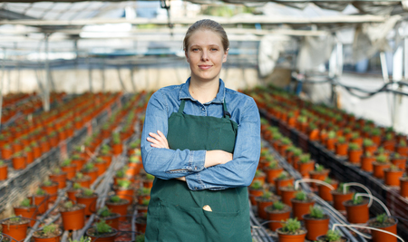 Portrait of young female gardener in apron standing  near seedlings of oregano  in pots in greenhouseの写真素材