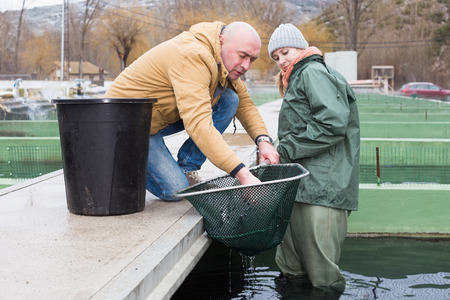 Man owner of sturgeon farm with female worker inspecting fish in tank outdoorsの写真素材