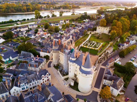 Aerial view of medieval castle of Chateau de Langeais located in commune of same name in...