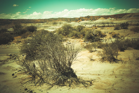 View on otherworldly geological formations in Ischigualasto Provincial Parkの写真素材