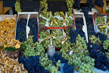 Image of autumn goods- grapes and chanterelles on the counter, no peopleの写真素材