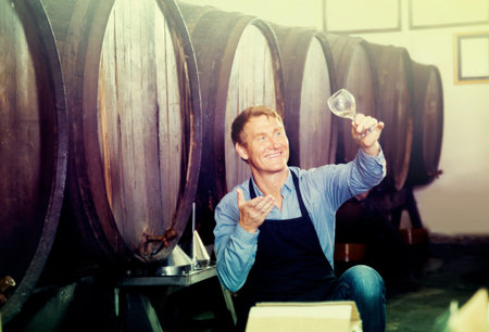 positive smiling wine seller wearing apron looking on glass of wine in wine cellar