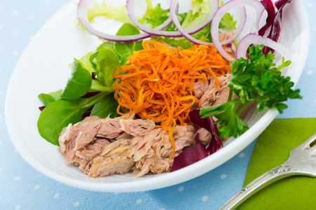 Healthy dinner with canned tuna, grated carrot, greens and onion ringsの写真素材