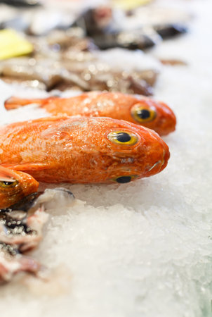 Assorted fish products on ice ready for sale in supermarket