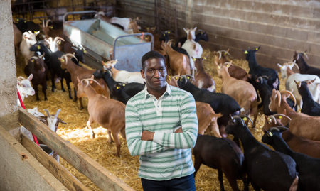 Portrait of African-American man professional breeder standing with arms crossed in stall on goat...