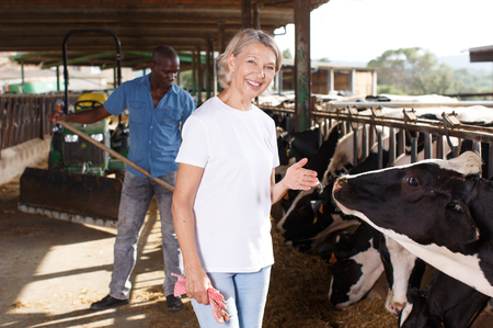 Portrait of two active employees working in cowshed on farmの写真素材
