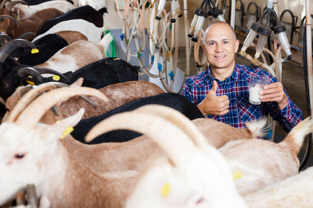 Farmer milking a goats with an automatic milk machineの写真素材
