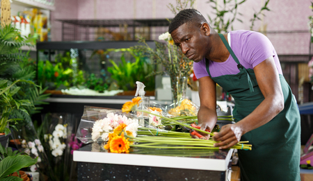 Portrait of skilled African-American man florist making bouquet with colorful gerberas in flower shopの写真素材