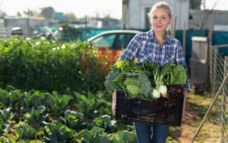 Young woman professional gardener holding  basket with harvest in garden outdoorの写真素材