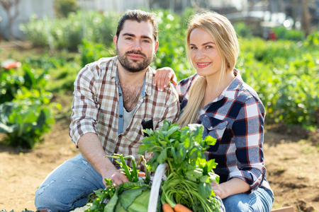 Portrait of positive man and woman amateur gardeners standing with harvest of vegetables on gardenの写真素材