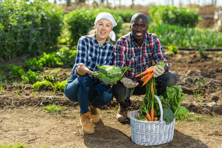 Friendly couple with a basket of vegetables in the gardenの写真素材