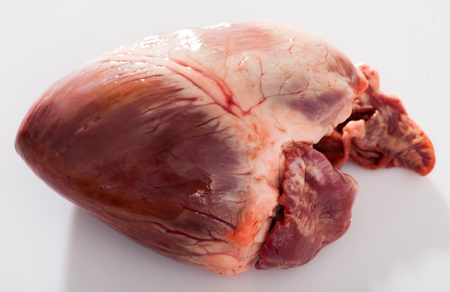 Close up of uncooked pig heart on white backgroundの写真素材