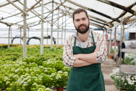 Portrait of confident young florist on plantation of blooming hydrangea in greenhouseの写真素材