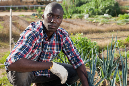 Portrait of positive young African man enjoying favourite pastime of gardeningの写真素材