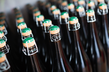 Rows of sparkling wine bottles standing on shelfの写真素材