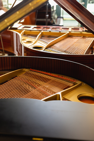 Inside grand piano, strings closeupの写真素材