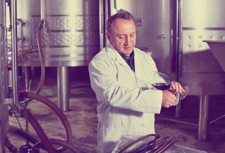 Positive wine maker controls quality of wine at wineryの写真素材