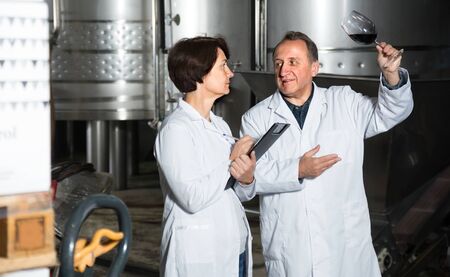 Expert 55-60 years old and wine maker estimate quality of red wine in wineglassの写真素材