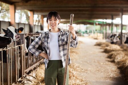 Female farmer who is feeding beasts at the cow farmの写真素材