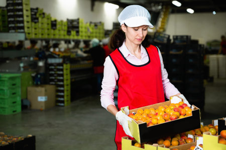 Smiling diligent positive   workwoman engaged on fruit sorting line, carrying plastic box with...