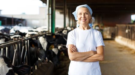 Portrait of positive elderly woman engaged in dairy farmの写真素材