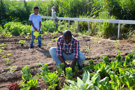 Friendly family works on garden beds