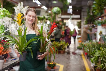 Positive woman picking a bromelia flower in the flower shop