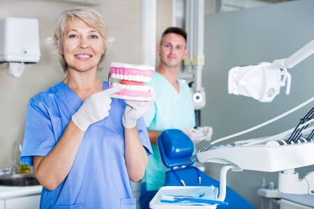 Professional dentist woman explaining a correct tooth brushing on dental modelの写真素材