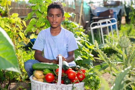 Portrait of teenager boy standing with vegetables basketの写真素材