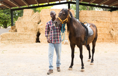 Young man farmer standing  with  horse at  stable at farm outdoor