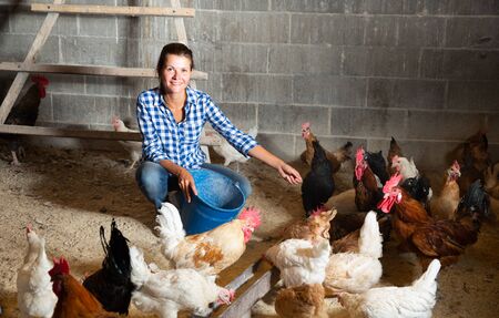 Young woman feeding hens in a chicken coopの写真素材