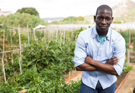 Man horticulturist standing near seedlings of vegetables  in  garden
