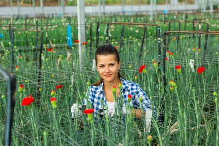 Young woman gardening red carnation flowers indoors in greenhouse