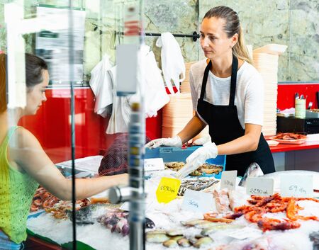 Confident diligent positive cheerful saleswoman demonstrating large assortment of fresh raw seafoods to female buyer at fish marketの写真素材
