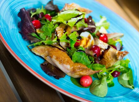 Fresh colorful salad from grilled quails and assorted greens with honey-ginger sauce and cranberries on blue plateの写真素材