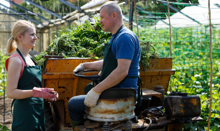 Smiling female farmer talking to her husband driving small farm tractor in greenhouseの写真素材