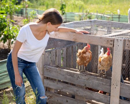 Farmer woman feeding chikens in a hen houseの写真素材