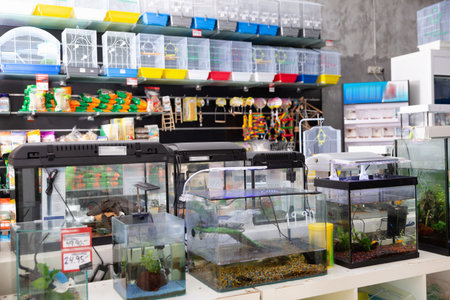 Image of modern comfortable different variation of goods for animals in pet shop