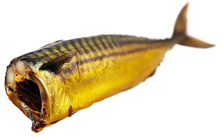 Traditional Russian appetizer. Tasty cold smoked mackerel. Isolated over white backgroundの写真素材