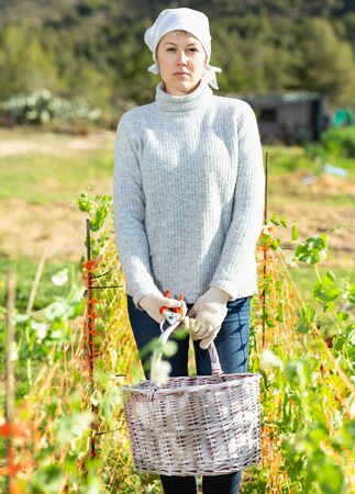 Portrait of positive young woman enjoying favourite pastime of gardeningの写真素材