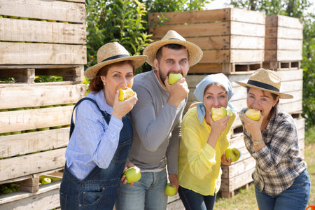 Portrait of farmer workers eating freshly harvested apples during break