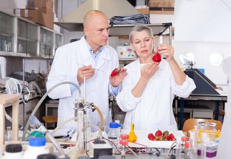 Two experienced biochemists checking fruits and vegetables for nitrates and pesticides in modern research laboratoryの写真素材